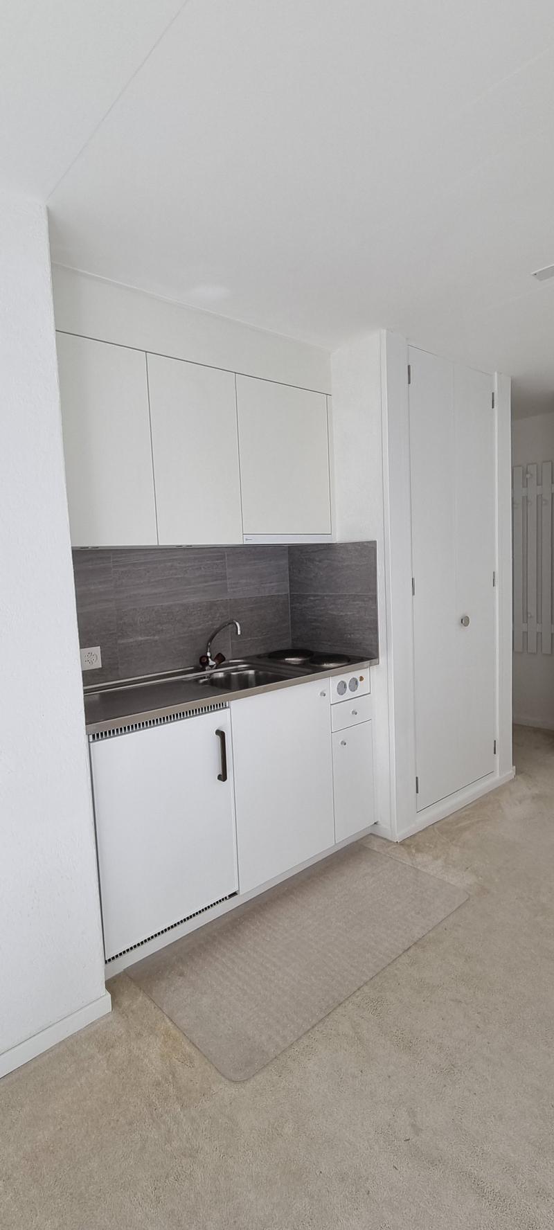 Helle 1 Zi-Wohnung mit Terrasse und Parkplatz (3)