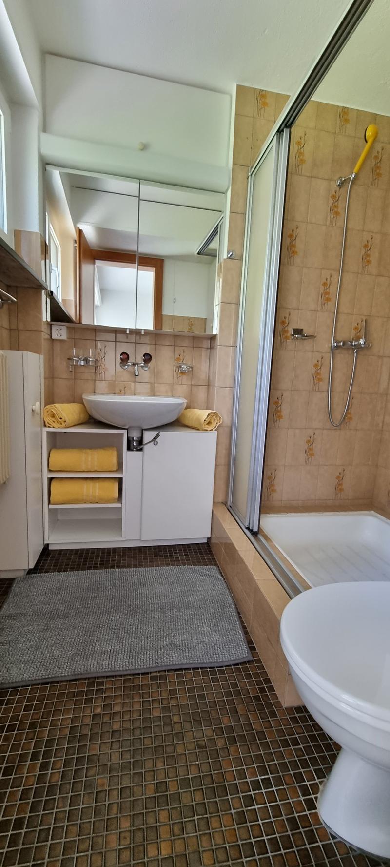Helle 1 Zi-Wohnung mit Terrasse und Parkplatz (6)