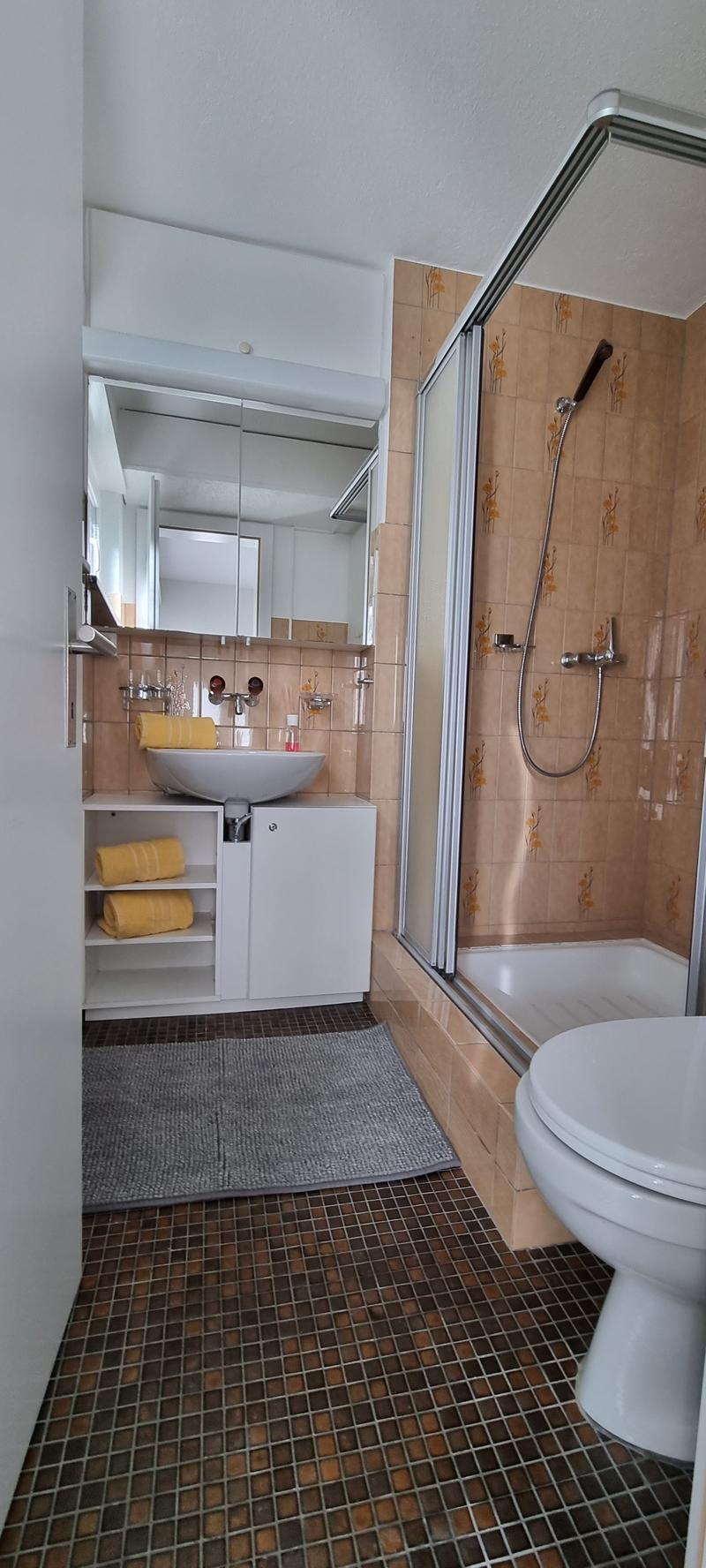 Helle 1 Zi-Wohnung mit Terrasse und Parkplatz (7)