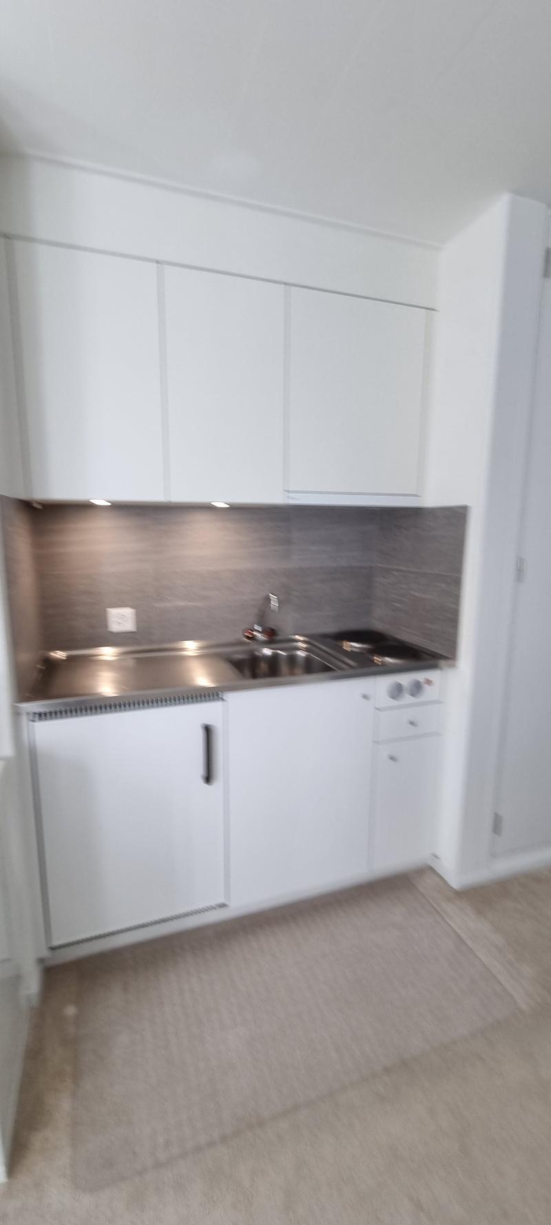 Helle 1 Zi-Wohnung mit Terrasse und Parkplatz (4)