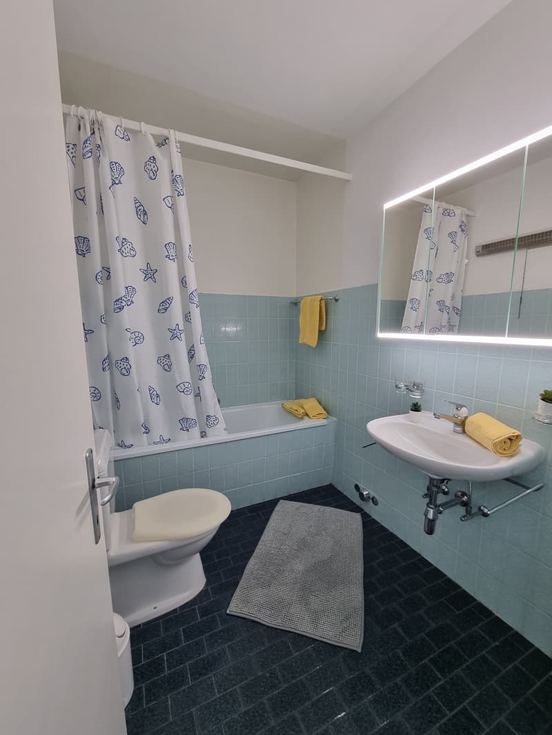 Wunderschöne 1.5 Zi-Wohnung mit Balkon in Ascona (8)