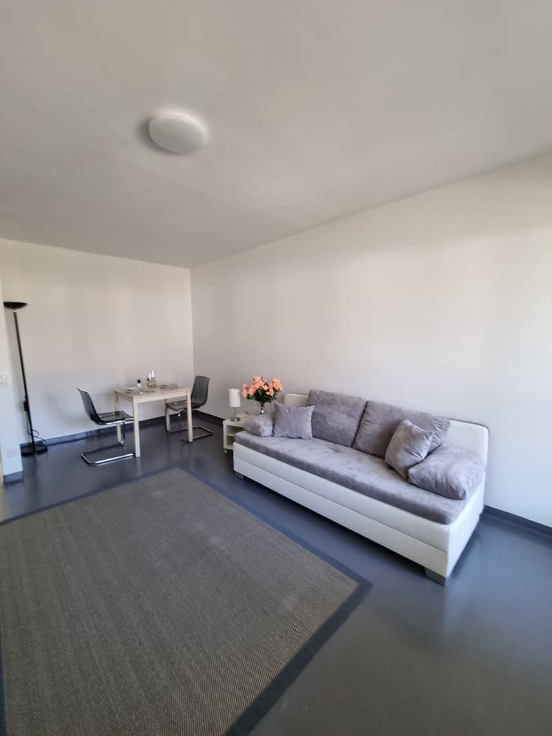 Wunderschöne 1.5 Zi-Wohnung mit Balkon in Ascona (4)