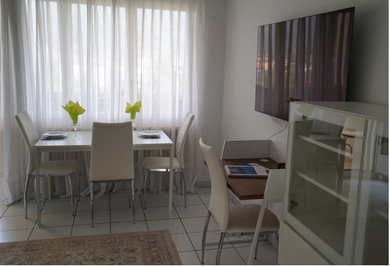Schöne 1.5 Zi-Wohnung mit Terrasse (4)