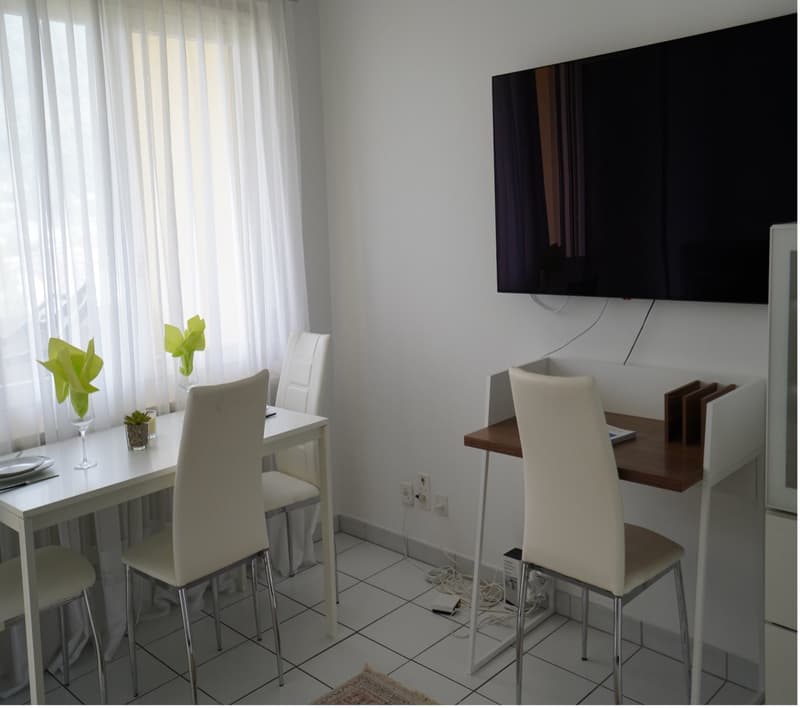 Schöne 1.5 Zi-Wohnung mit Terrasse (3)