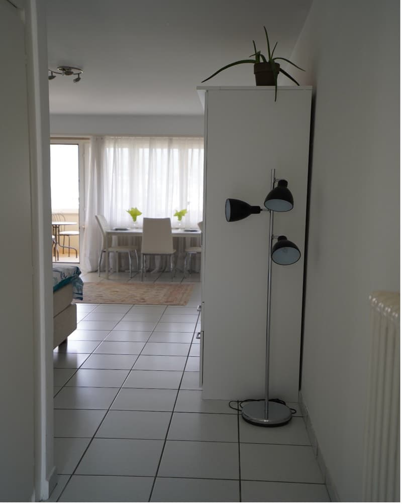 Schöne 1.5 Zi-Wohnung mit Terrasse (8)