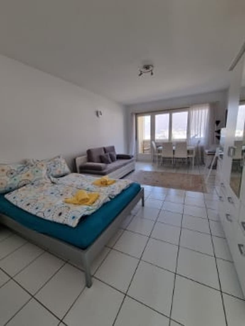 Schöne 1.5 Zi-Wohnung mit Terrasse (7)