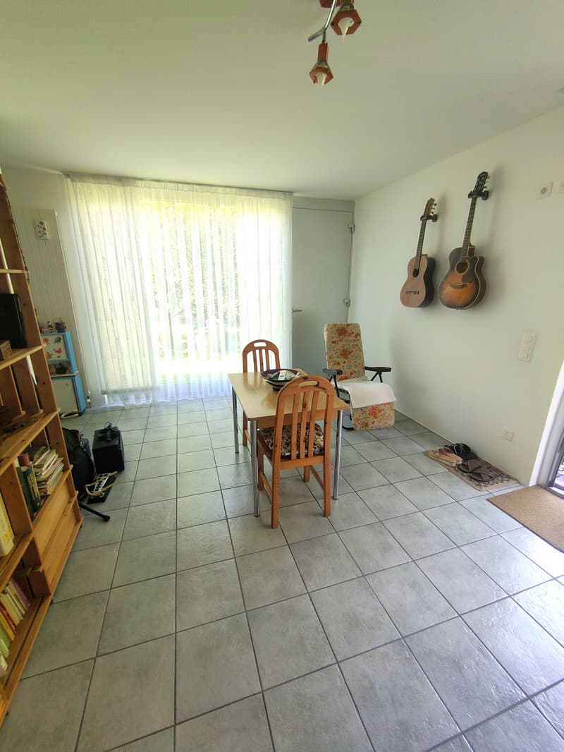 Meravigliosa villa immersa nel verde nella collina di Giubiasco in località Lôro (18)