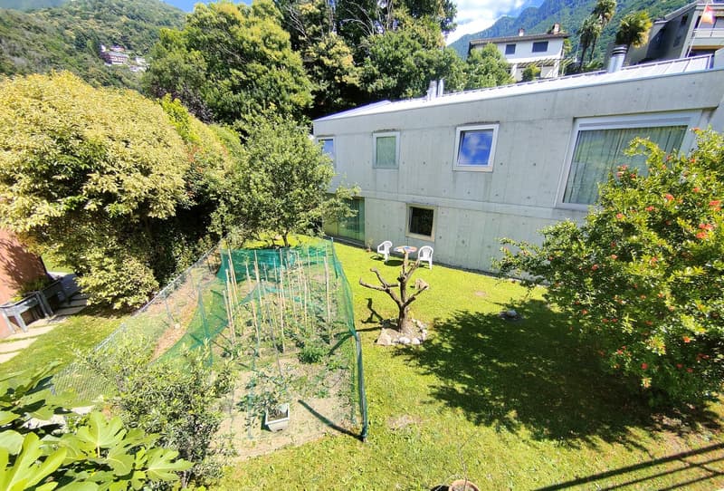 2-story concrete building with large windows, surrounded by lush greenery including trees, shrubs, and a small garden area with a tree and some garden beds. There is a paved area that appears to be a parking space or driveway in the foreground.
