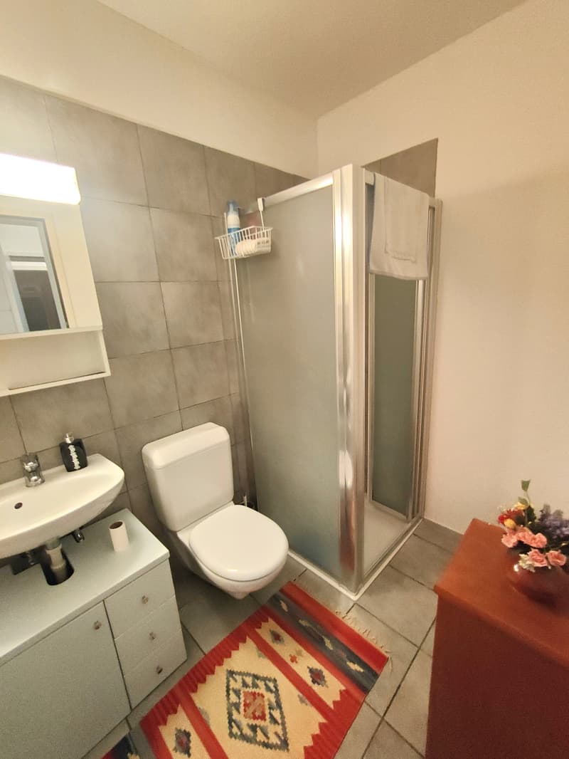Meravigliosa villa immersa nel verde nella collina di Giubiasco in località Lôro (21)