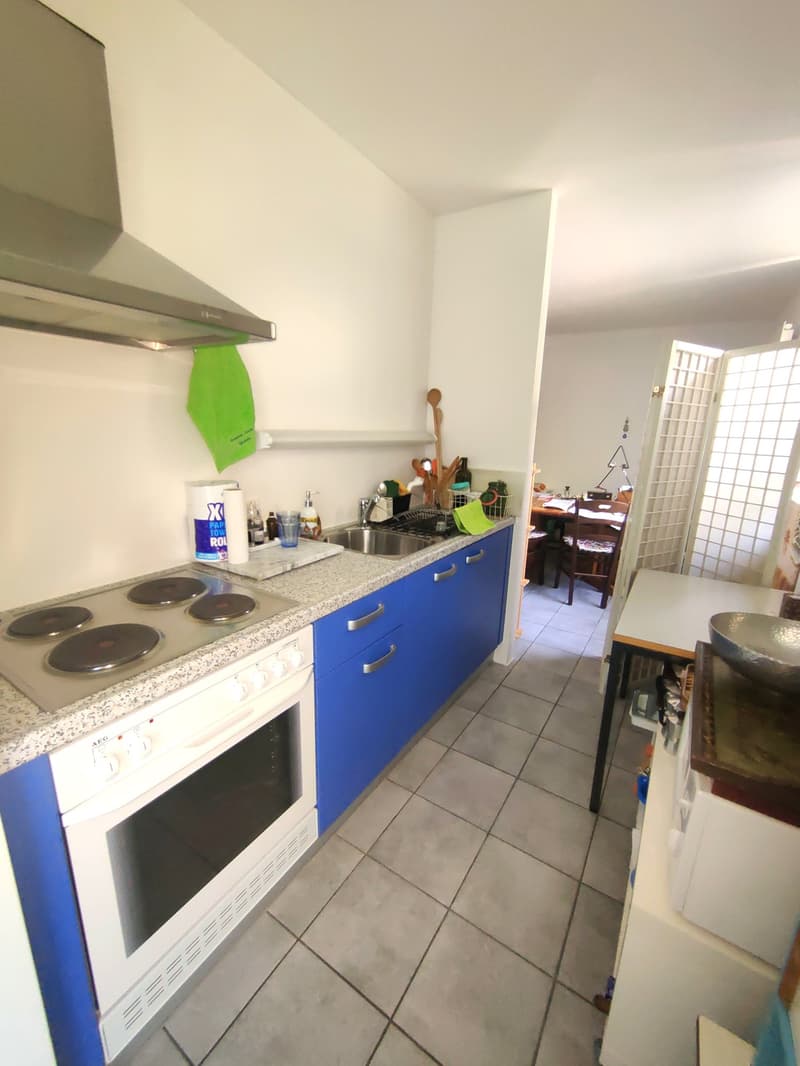 Meravigliosa villa immersa nel verde nella collina di Giubiasco in località Lôro (20)