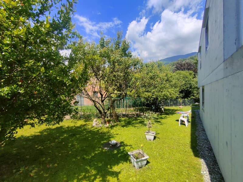 Meravigliosa villa immersa nel verde nella collina di Giubiasco in località Lôro (16)