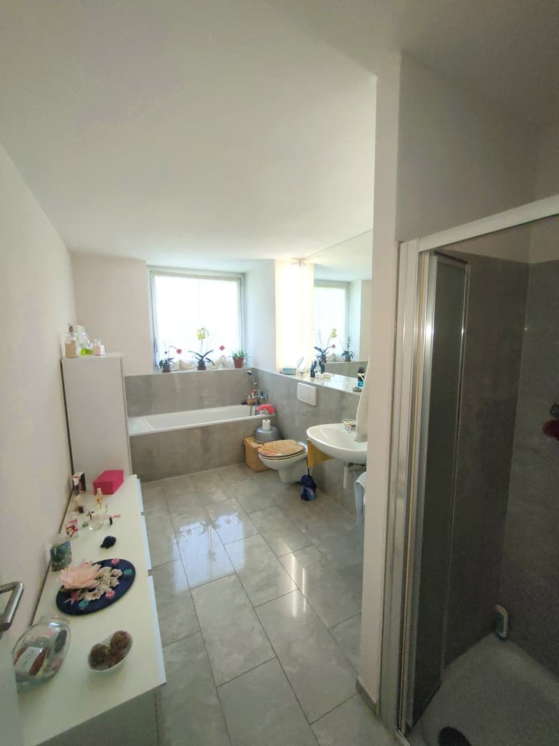 Meravigliosa villa immersa nel verde nella collina di Giubiasco in località Lôro (17)