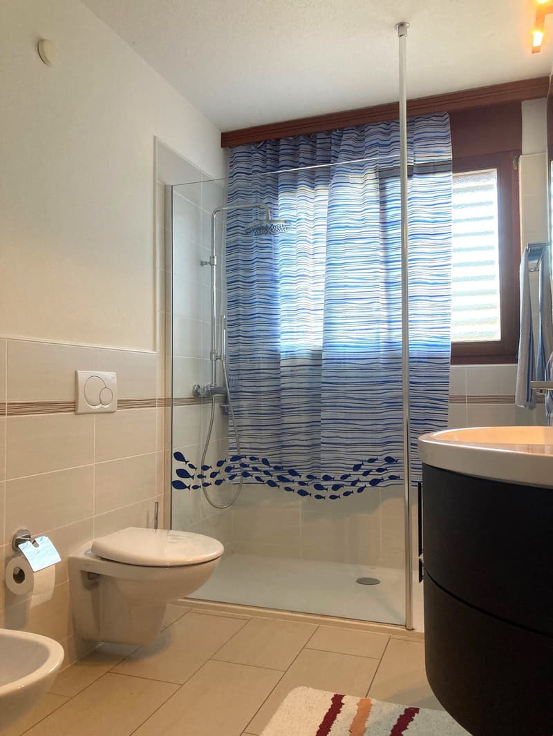 shower area with showerhead, toilet, sink, window with blue curtain