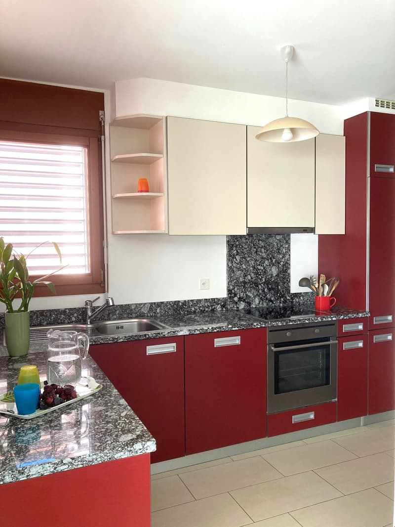 Red kitchen cabinets, granite countertops, stainless steel appliances, built-in oven and dishwasher, open window with blinds, kitchen sink with faucet, open shelf, potted plant