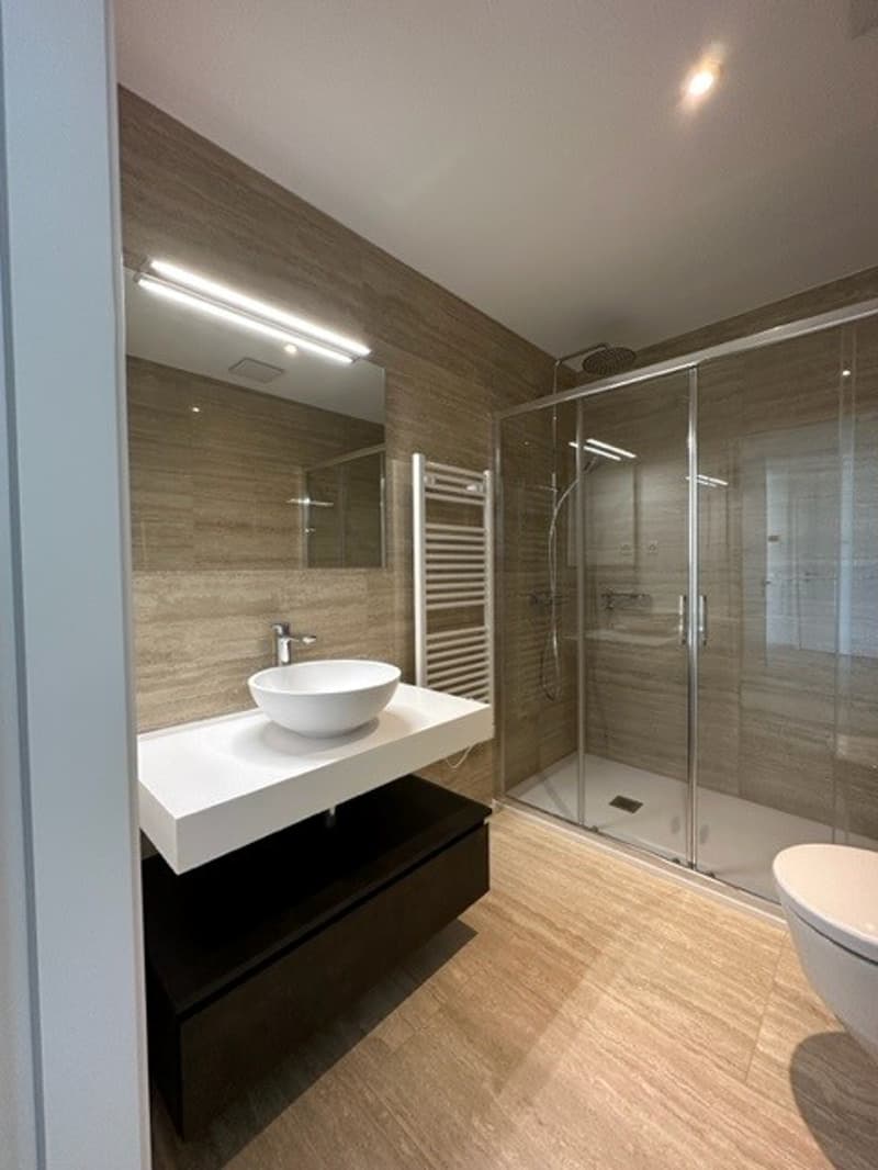 modern bathroom with walk-in shower, white sink, brown wooden floor, white wall