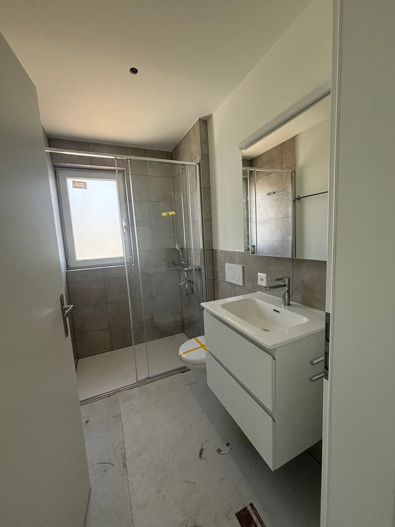 Exklusive 3.5-Zimmer-Wohnungen in erster Lage in Cadenazzo (5)