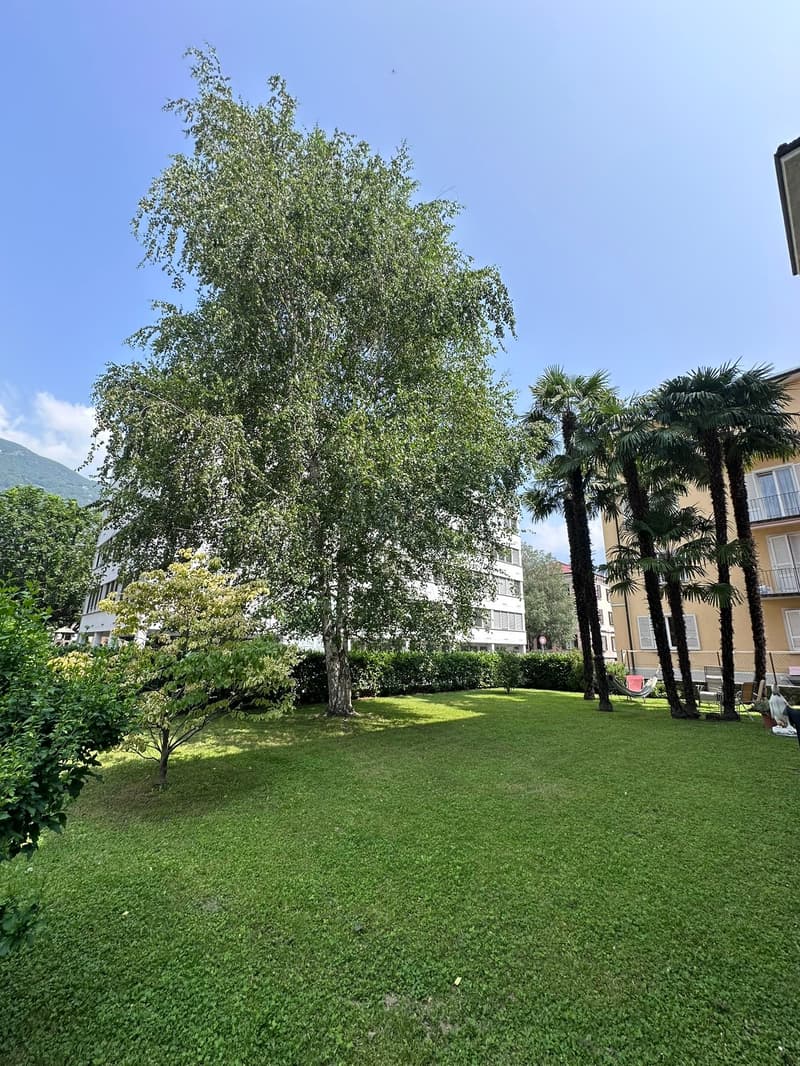 Rent 5.5 rooms completely renovated in a historic house – privileged location (4)