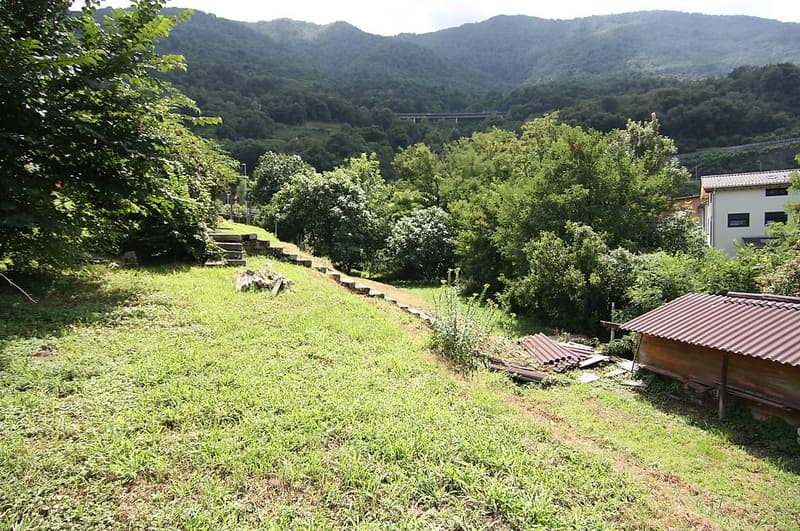 Bauland in Cadenazzo (3)