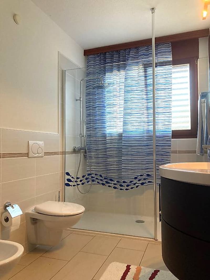 Attic 4 1/2 + box, parking and garden/garden in Giubiasco (11)