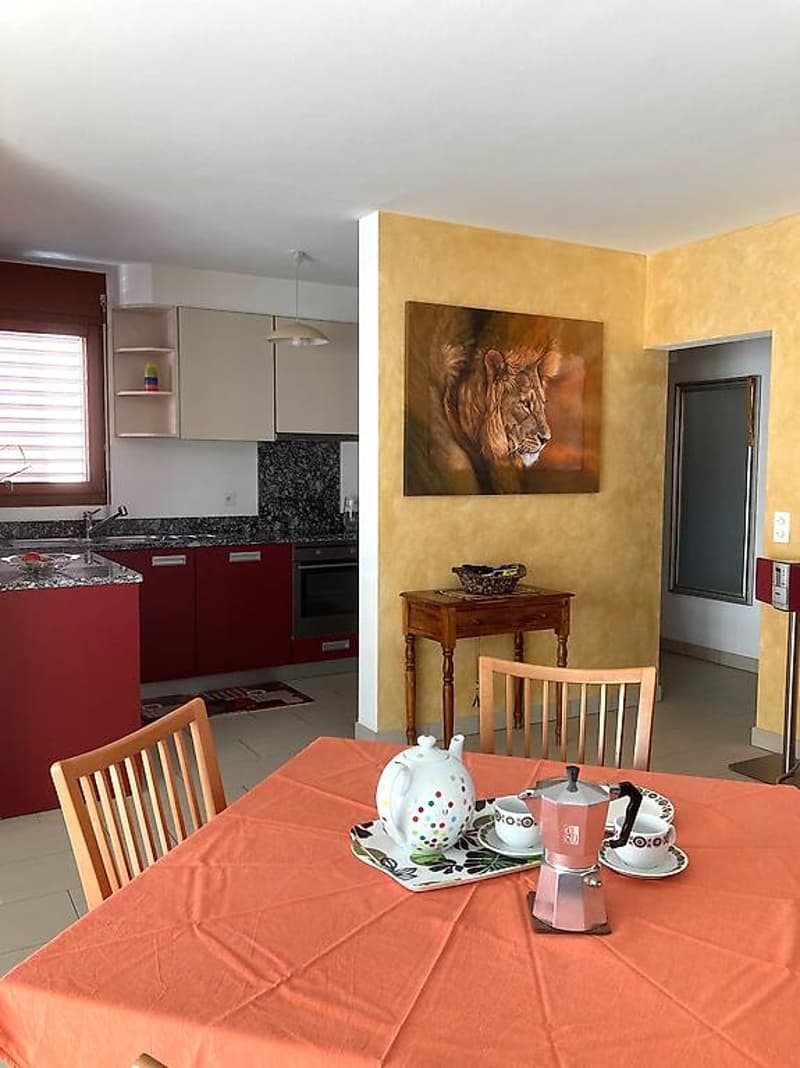 Attic 4 1/2 + box, parking and garden/garden in Giubiasco (3)