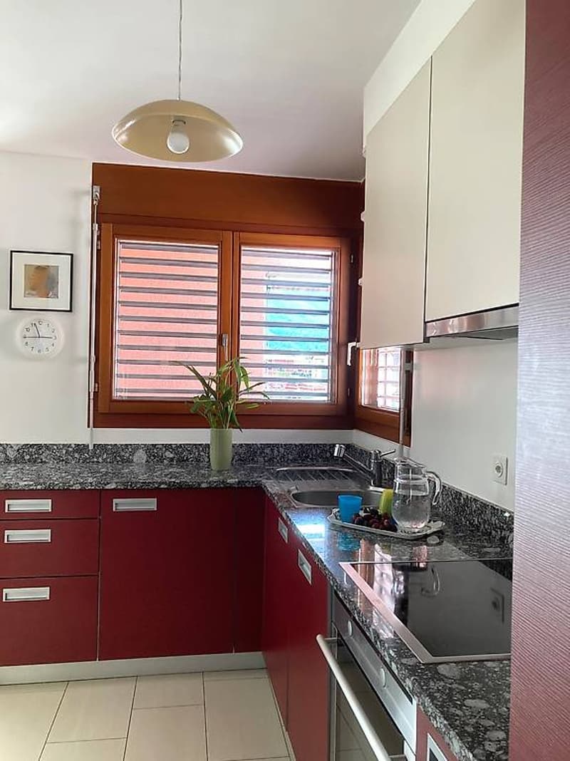 Attic 4 1/2 + box, parking and garden/garden in Giubiasco (9)