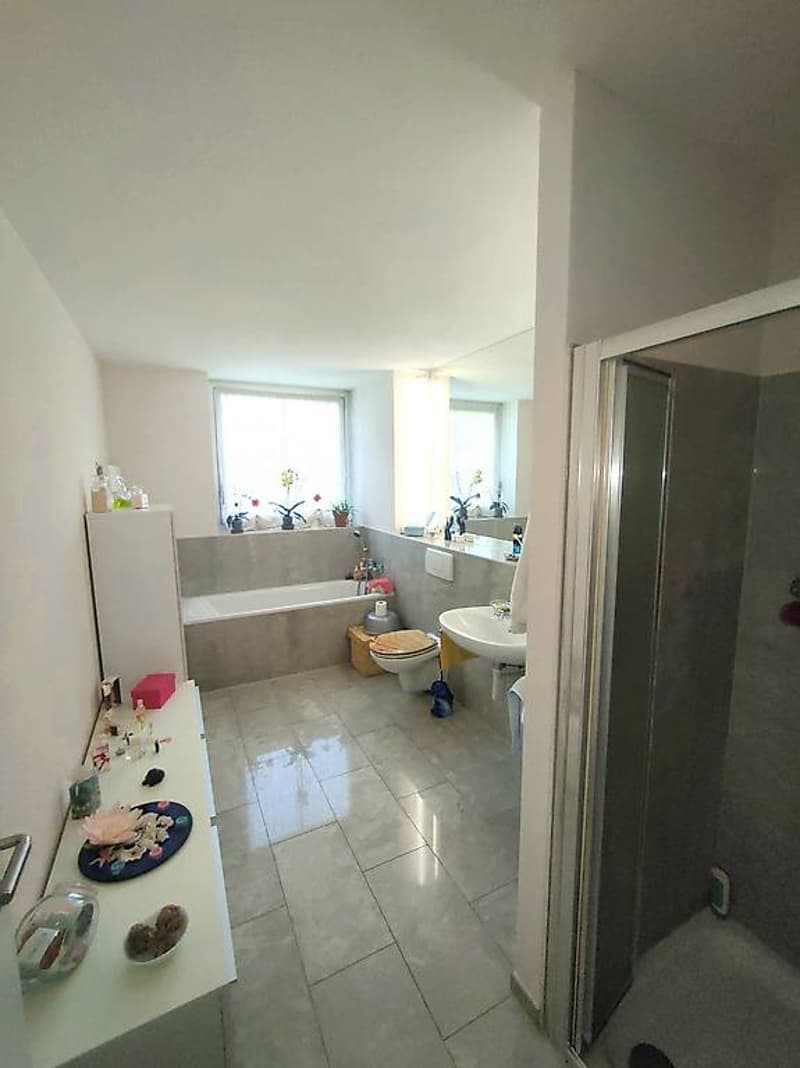 Wonderful villa surrounded by greenery in Giubiasco (Lôro) (8)
