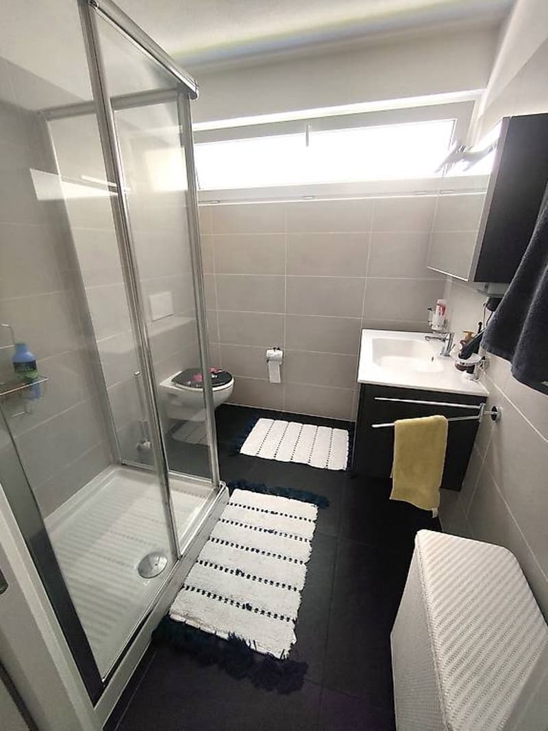 Apartment 4 ½ rooms, 2nd and top floor/residential area (8)