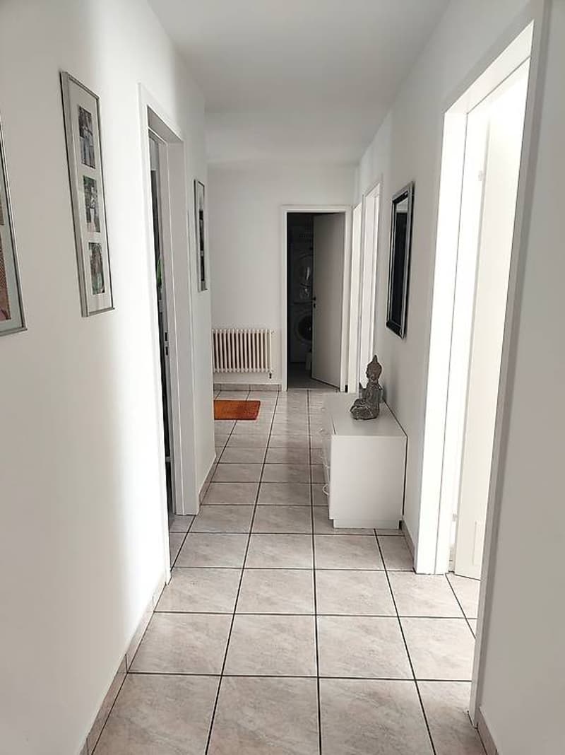 4.5 rooms - top floor - Giubiasco (9)
