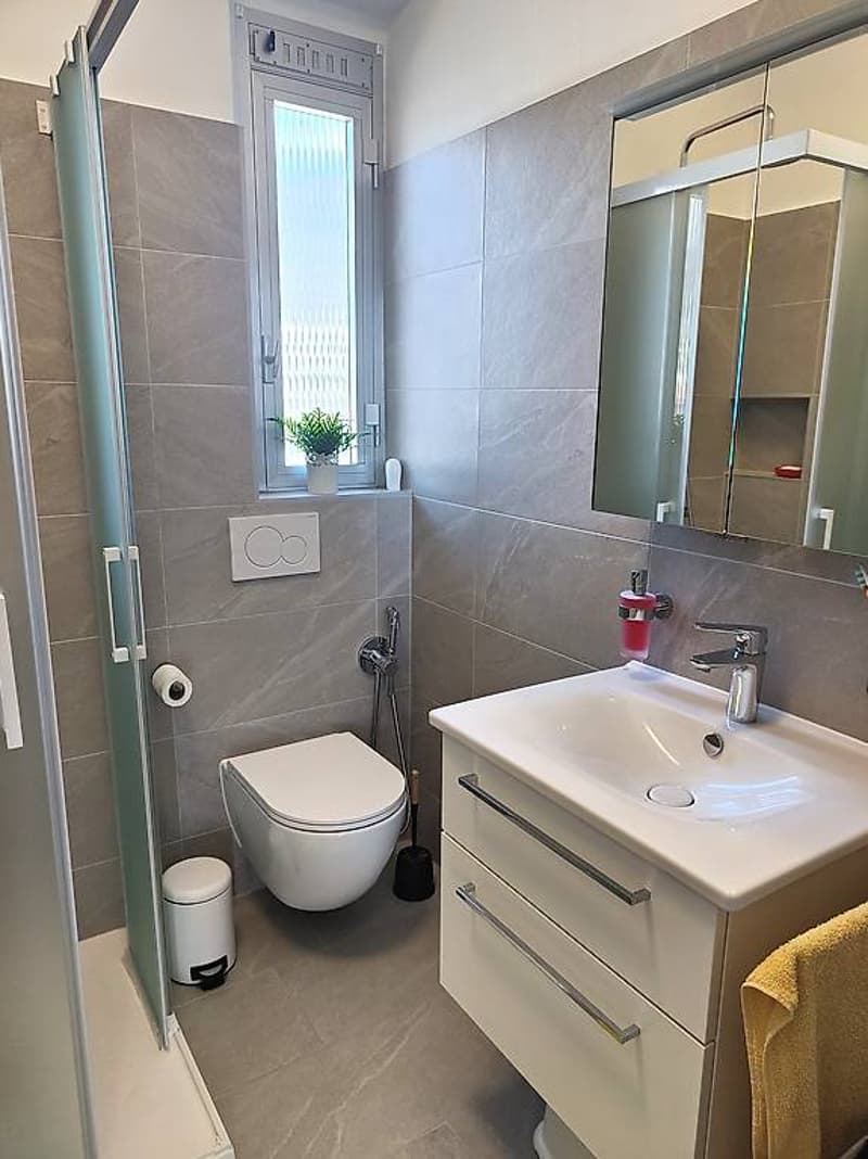 4.5 rooms - top floor - Giubiasco (10)