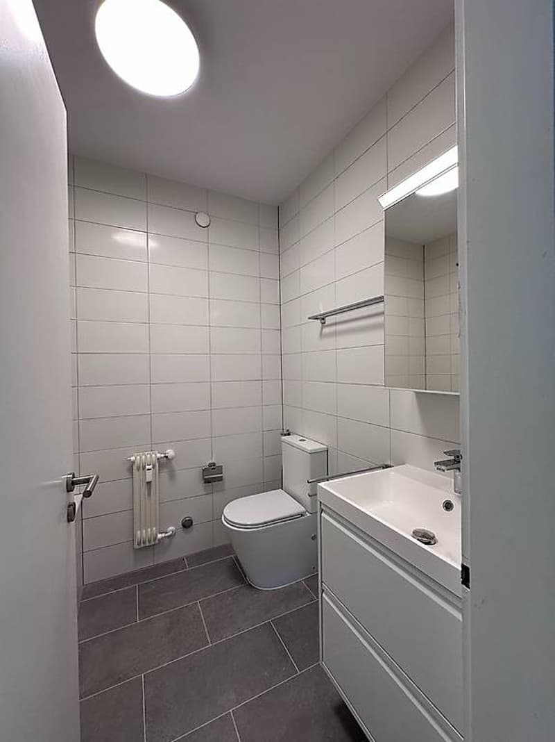 4,5 pièces appartement rénové à Tenero (13)