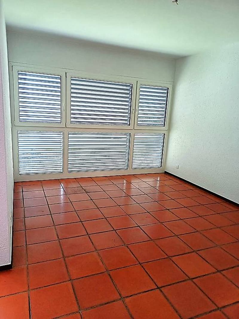4.5-room apartment in Carasso-Bellinzona (10)