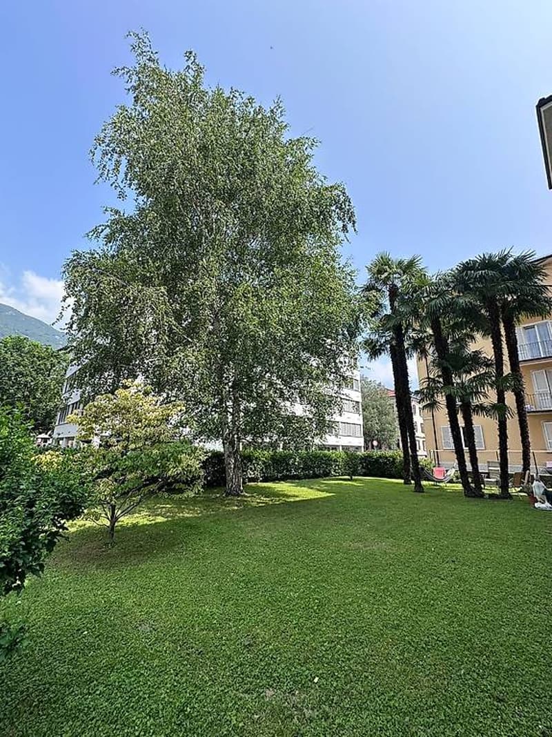 5,5 locaux Bellinzona Quartier San Giovanni (4)