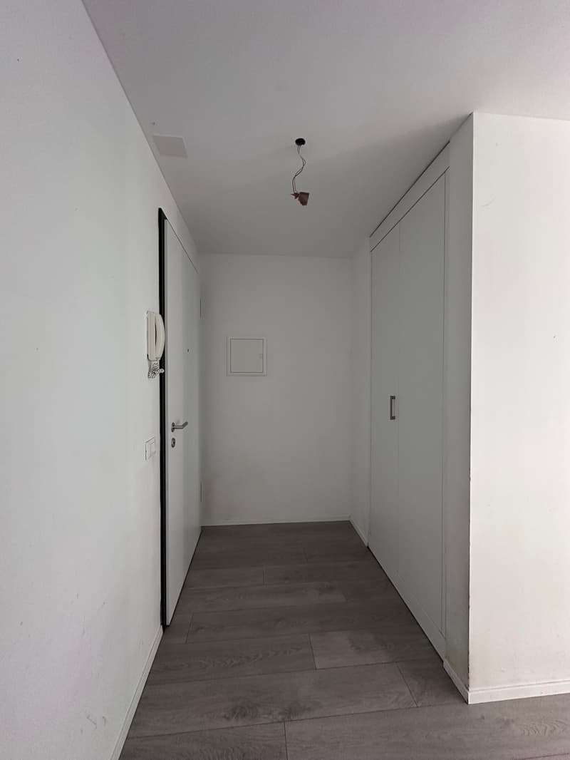 Moderno 3.5 locali a Cadenazzo (11)