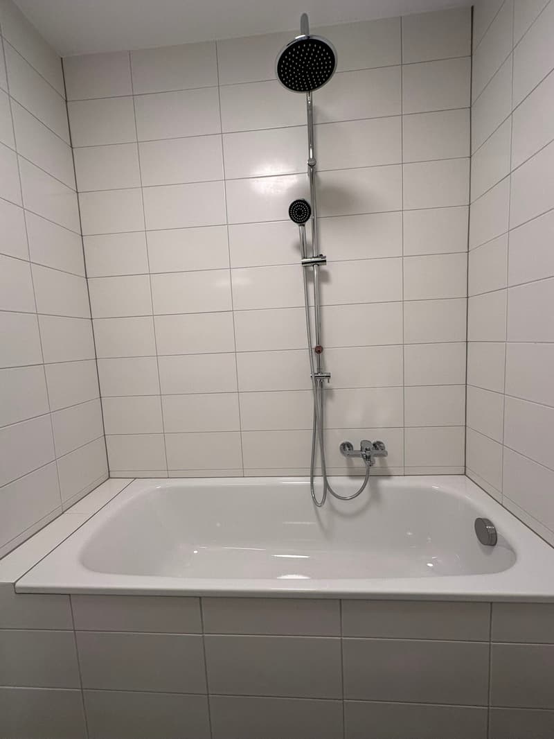 4.5 locali rimodernato a Tenero (16)