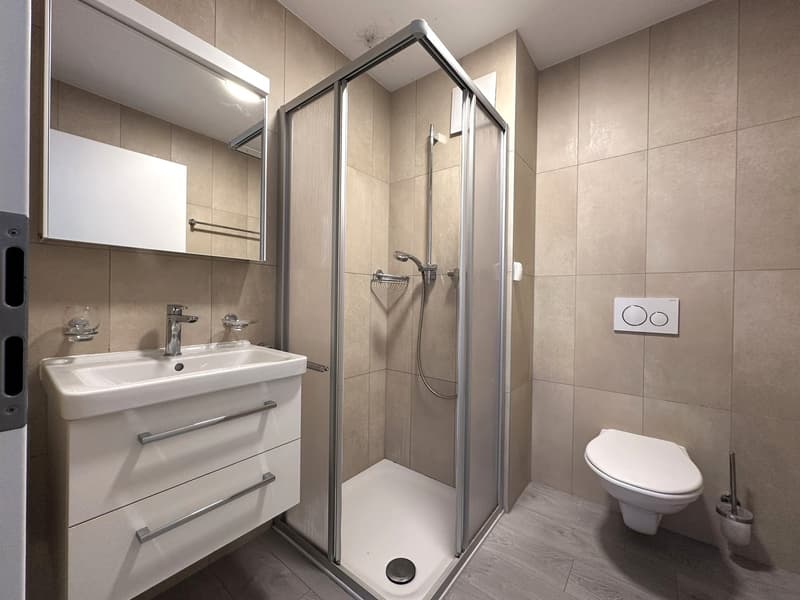 Moderno appartamento 2.5 locali con balcone a Cadenazzo (13)