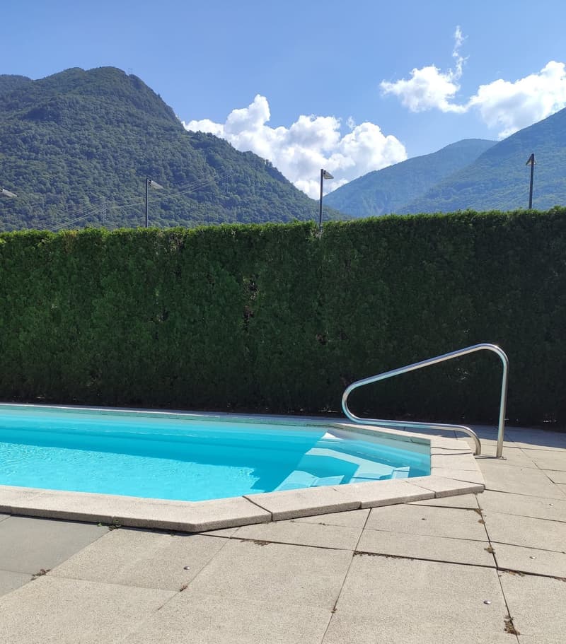 Splendido attico di 5.5 locali con piscina ad Arbedo-Castione (10)