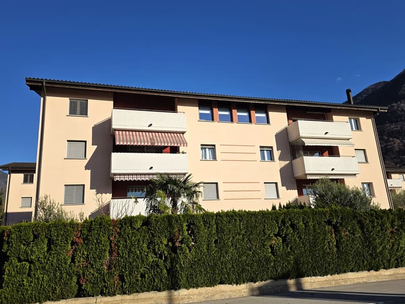 Splendido attico di 5.5 locali con piscina ad Arbedo-Castione (3)