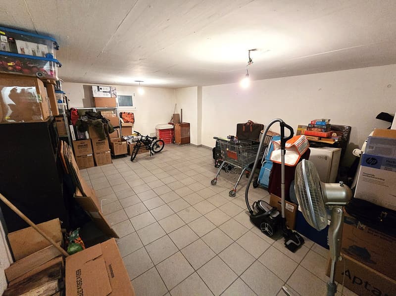 Splendido attico di 5.5 locali con piscina ad Arbedo-Castione (19)
