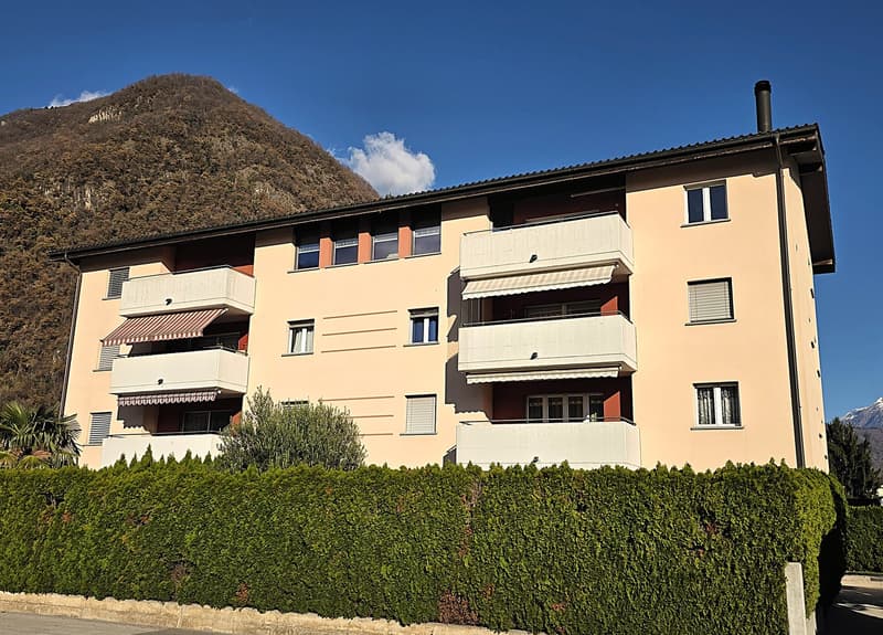 Splendido attico di 5.5 locali con piscina ad Arbedo-Castione (5)