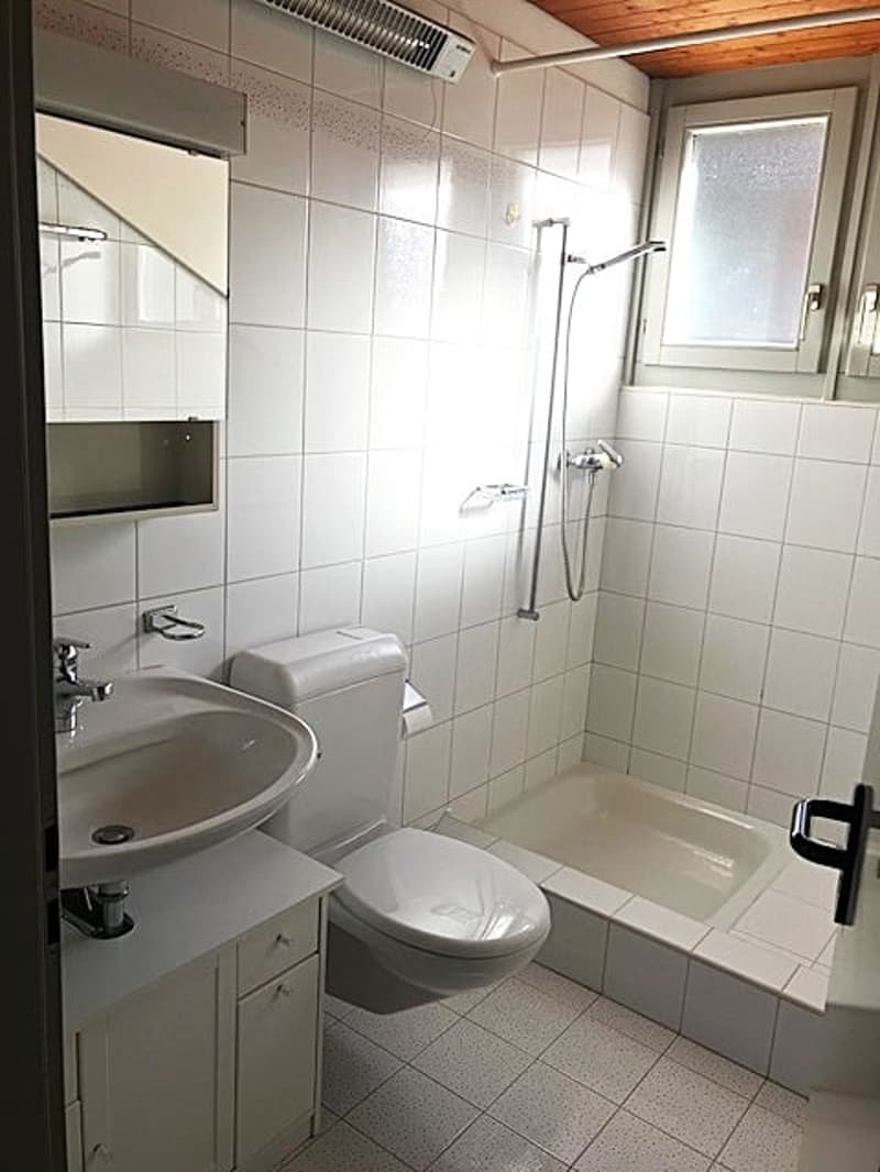 Accogliente appartamento monolocale mansardato a Bellinzona (7)