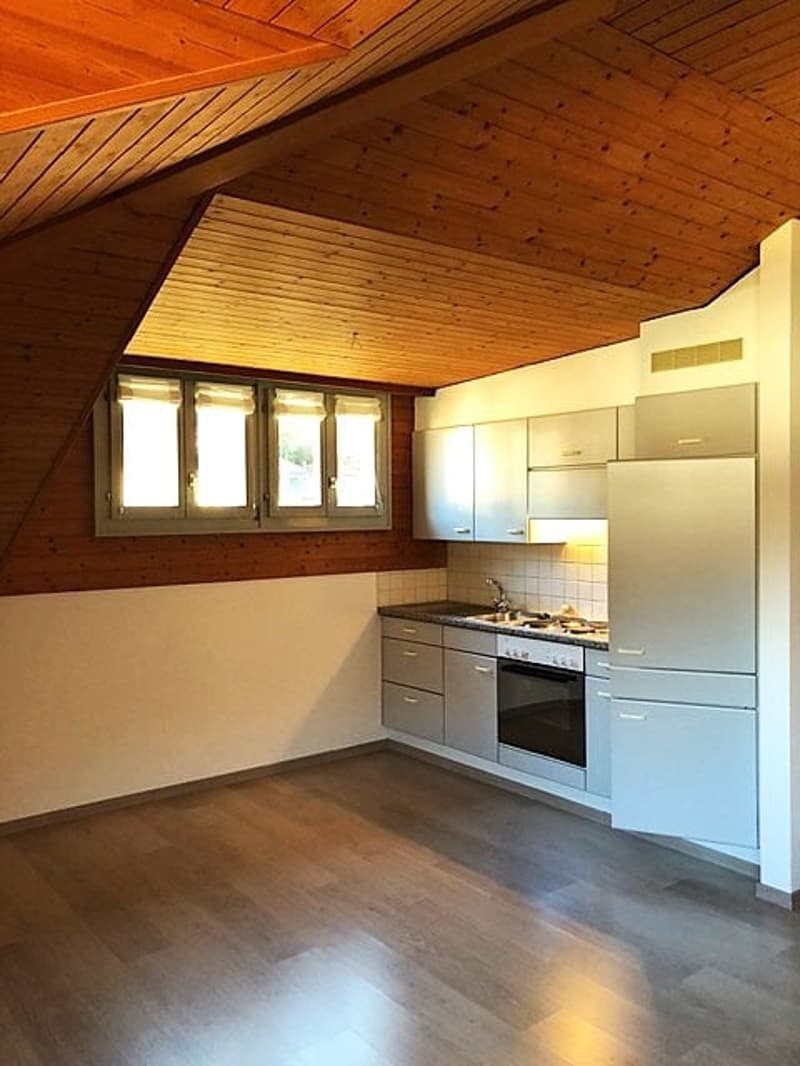 Studio-Apartment im Dachgeschoss in Bellinzona (8)