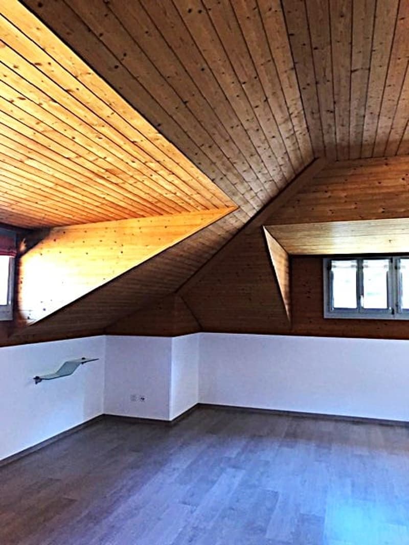 Studio-Apartment im Dachgeschoss in Bellinzona (6)