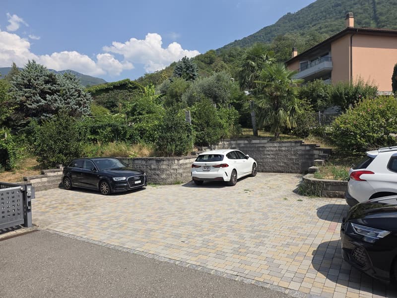 Appartamento di 3.5 locali con giardino a Camorino (10)