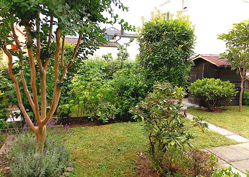 Ampio 2.5 locali con giardino a Giubiasco (6)