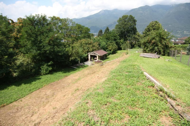 Terreno edificabile Cadenazzo (1)