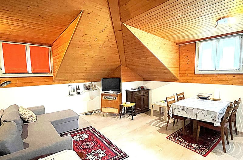 Studio-Apartment im Dachgeschoss in Bellinzona (8)