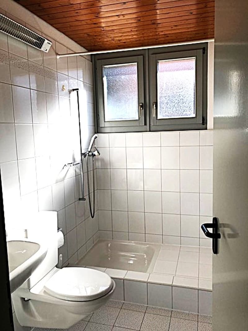 Studio-Apartment im Dachgeschoss in Bellinzona (12)