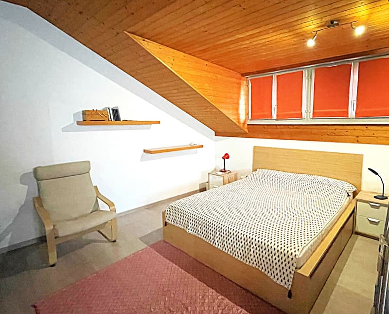 Studio-Apartment im Dachgeschoss in Bellinzona (6)