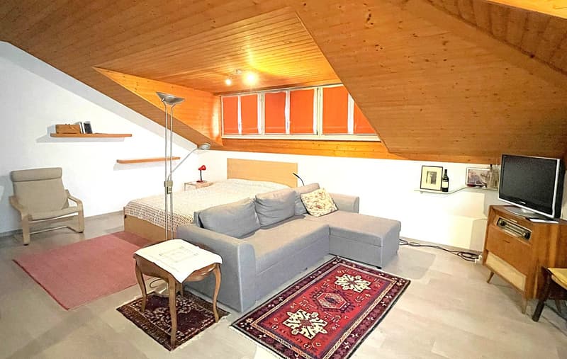 Studio-Apartment im Dachgeschoss in Bellinzona (2)
