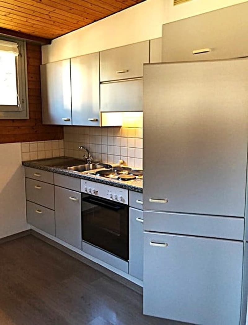 Studio-Apartment im Dachgeschoss in Bellinzona (4)